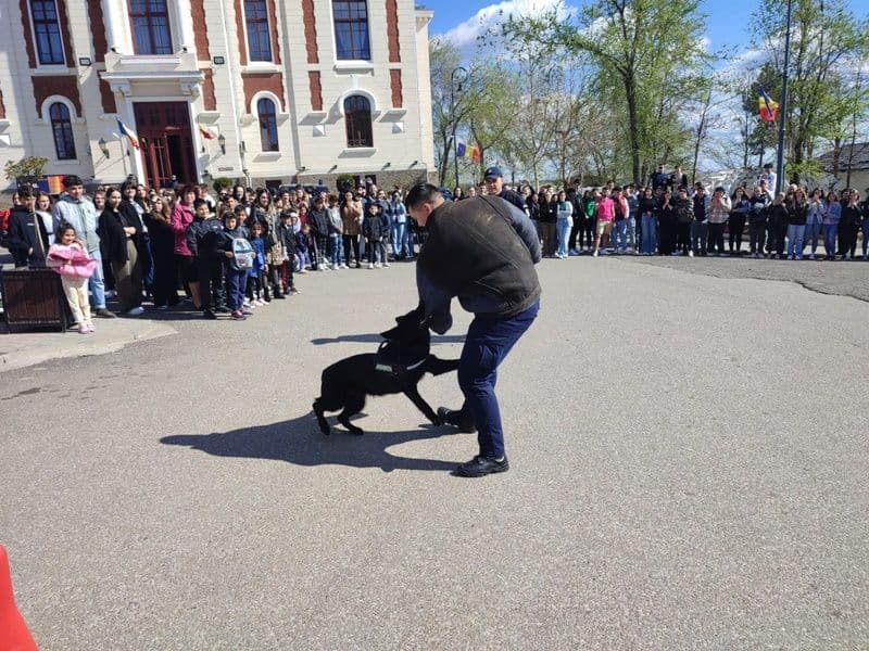 jandarmi 06