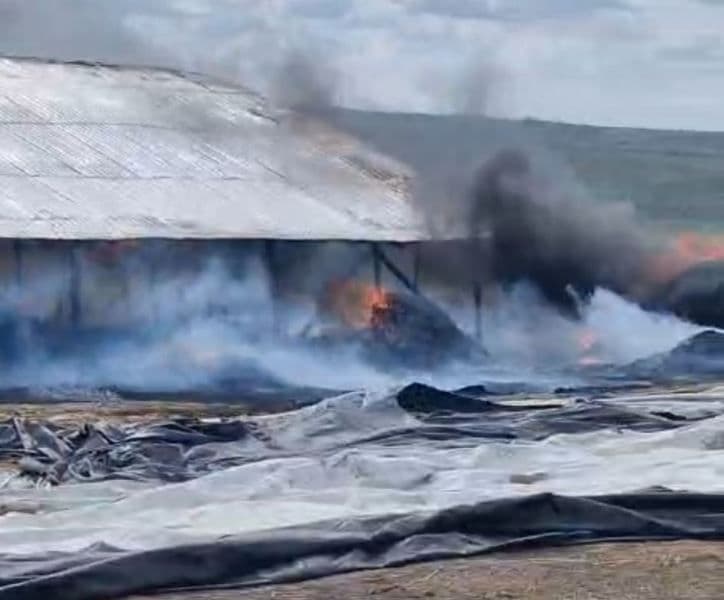 Incendiu ferma_ (2)