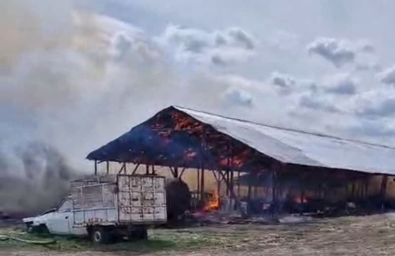 Incendiu ferma_ (4)