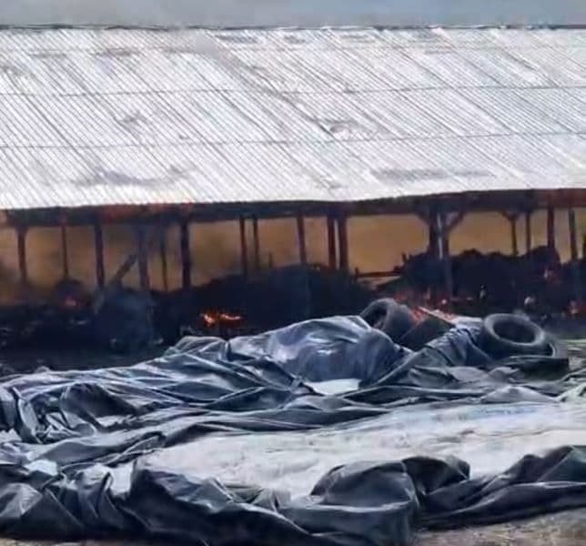 Incendiu ferma_ (5)