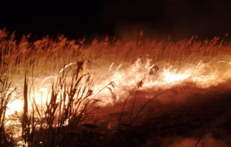Incendiu (4)