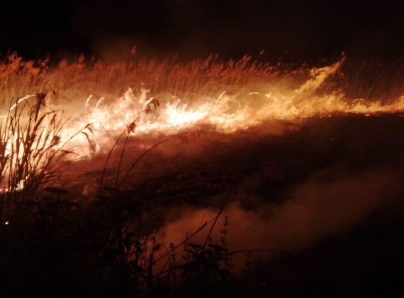 Incendiu (5)