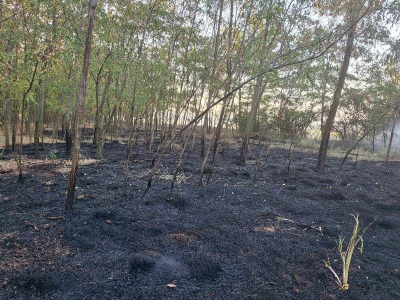 Incendii_1 (2)