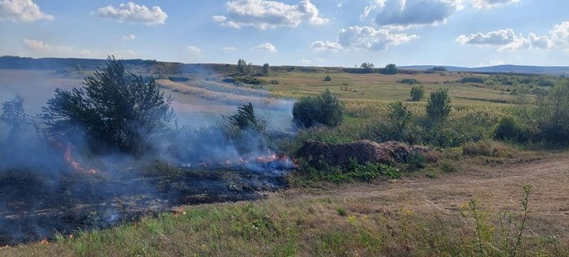 Incendii Vegetatie_03