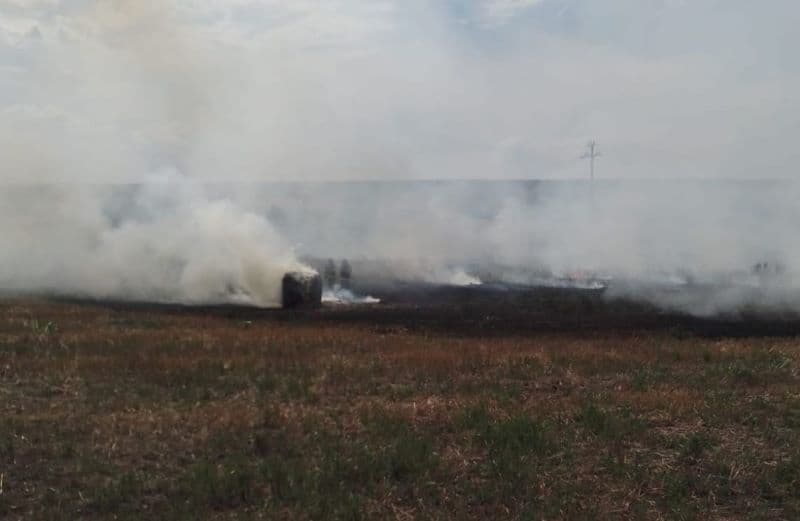 Incendiu_vegetatie (2)