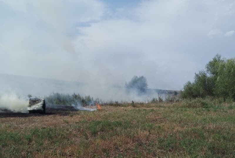 Incendiu_vegetatie (3)