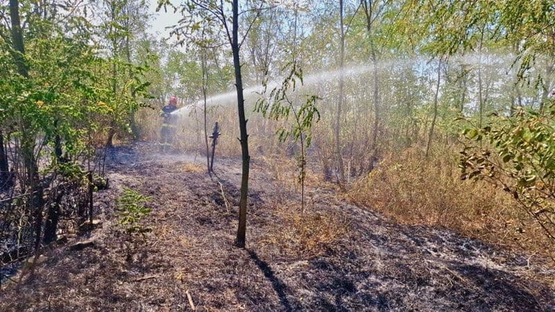 Incendii vegetatie_02
