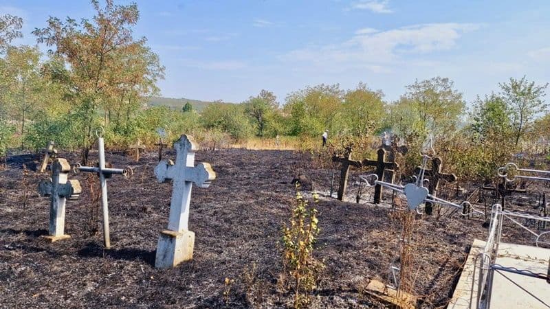 Incendii vegetatie_03