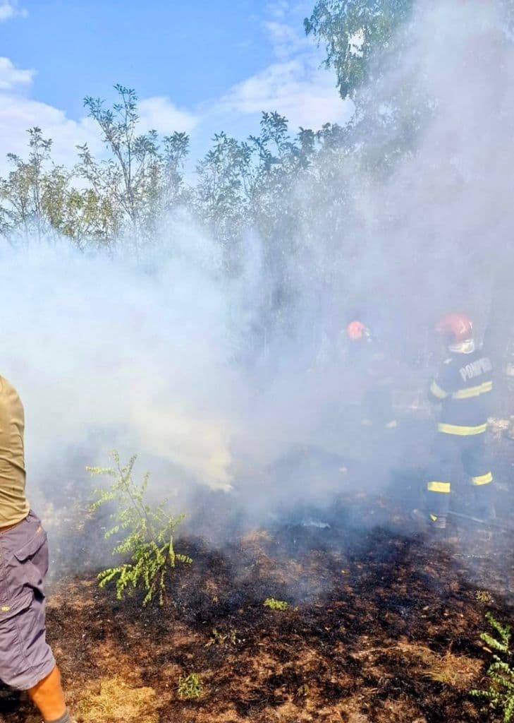 Incendii vegetatie_05