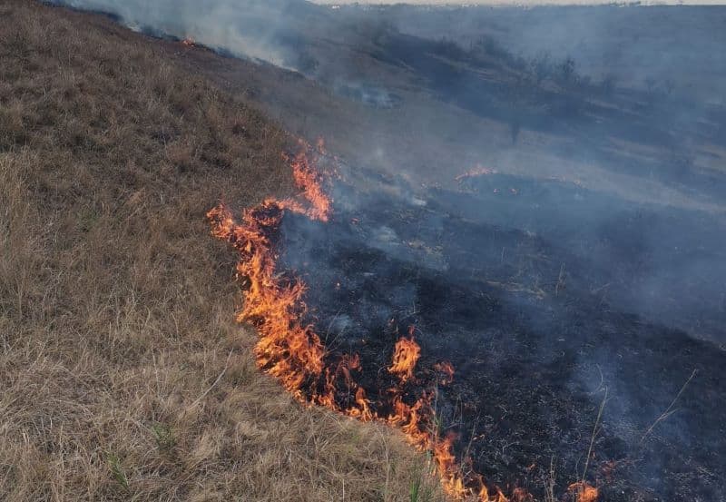 Incendiu_vegetatie_3