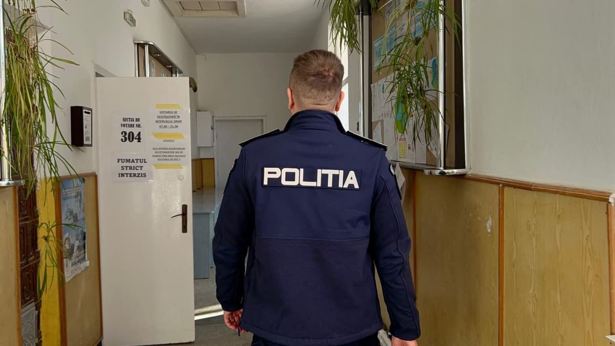 IPJ votare_ (1)