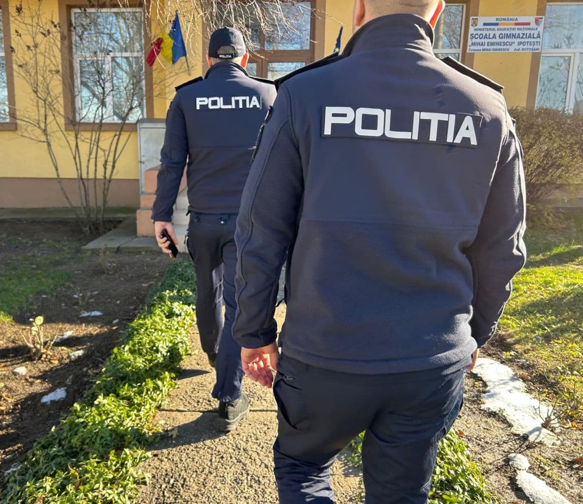 IPJ votare_ (3)