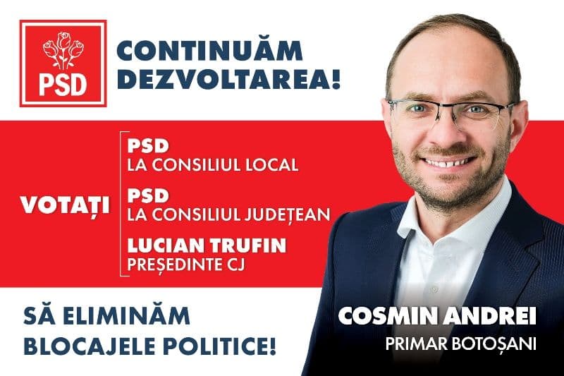 macheta solicitare vot politic