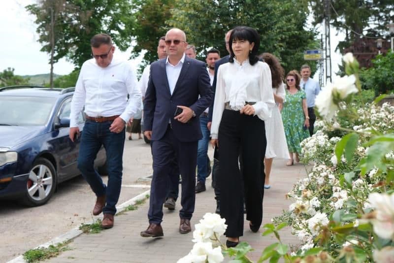 PSD (3)