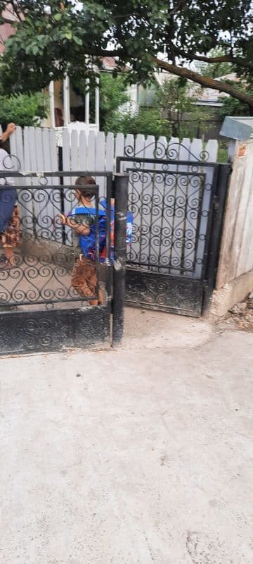 PSD (7)