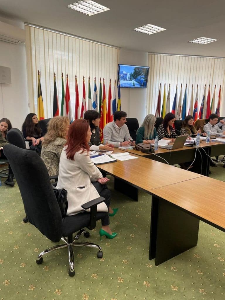 Modernizare Scoala Speciala Sfantul Stelian_006