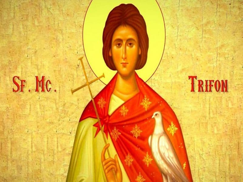 SINAXAR – 1 Februarie – Sf. Mc. Trifon; Sf. Mc. Perpetua şi Felicitas