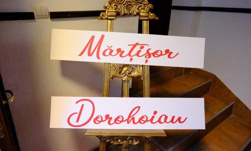 25 de tineri au trecut de preselecția Festivalului Național de Muzică Ușoară Românească „Mărțișor dorohoian”