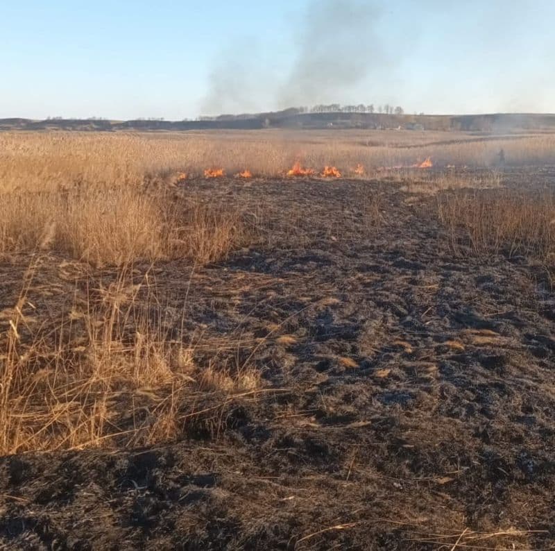 Două incendii de vegetație uscată la Văculești și Carasa ținute sub control de pompierii dorohoieni