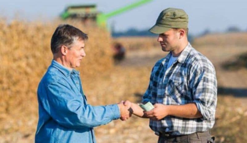 APIA face precizări importante pentru rentierii agricoli