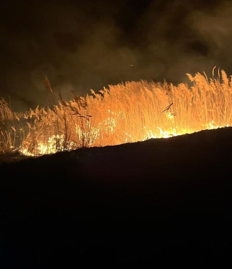În ultimele ore, pompierii au intervenit pentru stingerea a cinci incendii de vegetație uscată