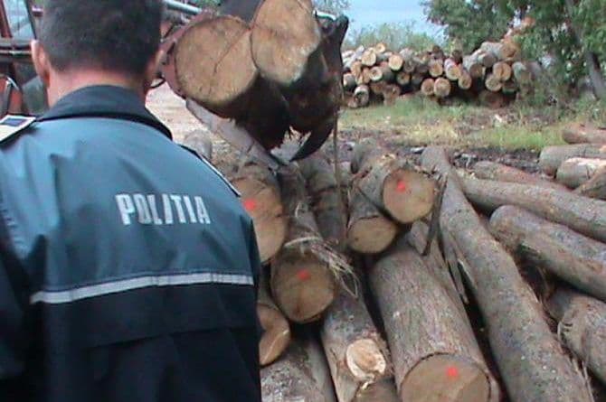 Doi metri cubi de material lemnos confiscat pe un drum din județ