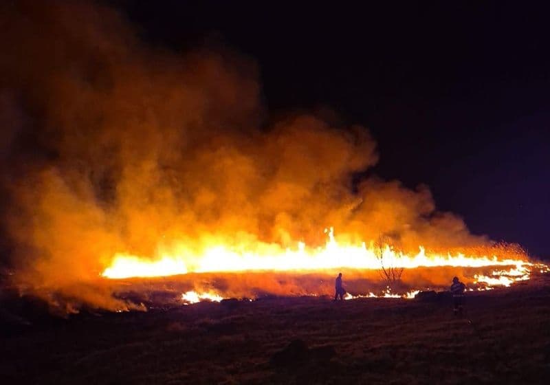 Șapte incendii de vegetație în ultimele 24 de ore. Pompierii au intervenit