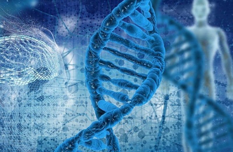 Olimpiada de biologie - Colecție de premii și două calificări la etapa națională pentru elevii de la Liceul „Regina Maria” Dorohoi