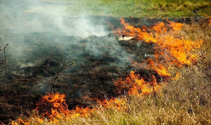 Fermieri sancționați pentru incendierea de terenuri agricole