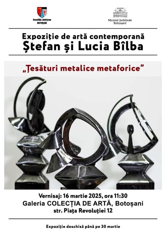 Expoziția „Țesături metalice metaforice” la Muzeul Județean Botoșani 