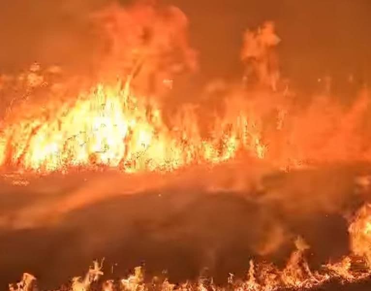 Pompierii au intervenit pentru stingerea a trei incendii de vegetație uscată, stuf și crengi uscate