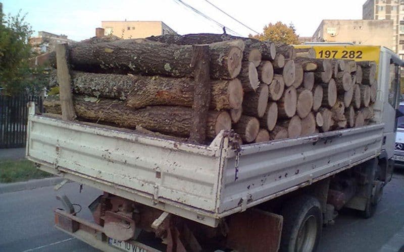 Material lemnos fără documente de proveniență confiscat 