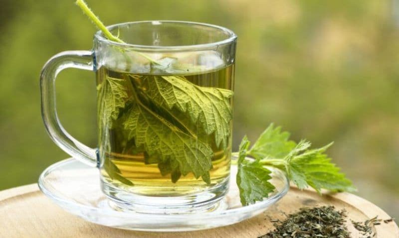 Ceaiul de urzică: Un remediu natural puternic pentru sănătatea ta