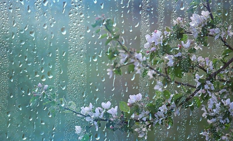 Meteorologii anunță ploi, lapoviță și ninsoare. Se răcește vremea!