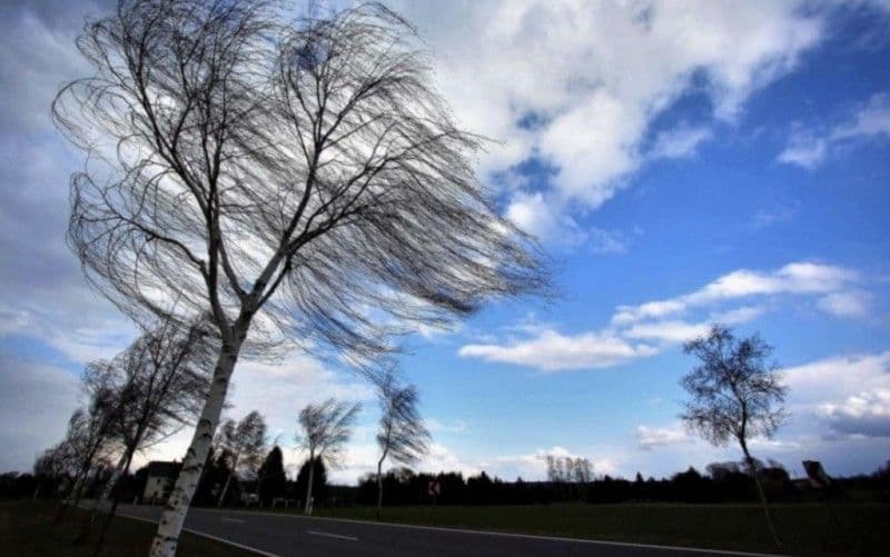 Meteorologii au emis o atenționare tip cod galben de intensificări ale vântului pentru județul Botoșani