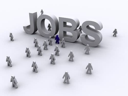 Peste 360 de locuri de muncă vacante la nivelul județului Botoșani