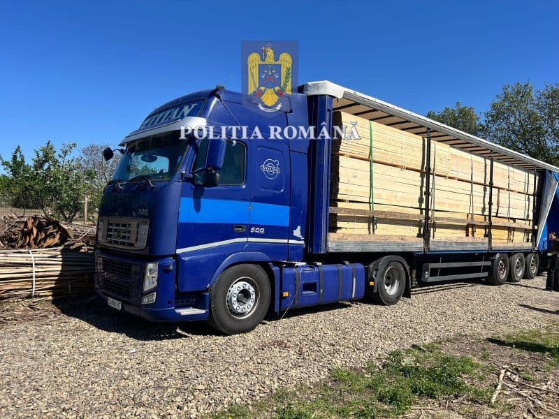 Peste 50 de metri cubi de material lemnos confiscat de polițiști în comuna Suharău