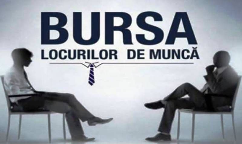 AJOFM Botoșani organizează Bursa Generală a Locurilor de Muncă 2025