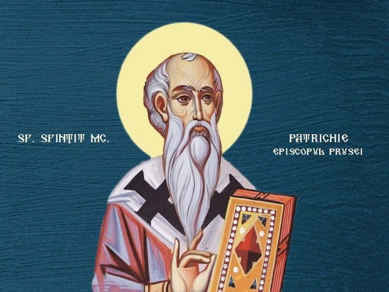 SINAXAR – 19 Mai – Sfântul Sfinţit Mucenic Patrichie, Episcopul Prusei, şi cei împreună cu el