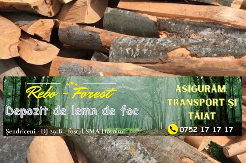 Rebo-Forest Șendriceni - Depozit de lemn de foc