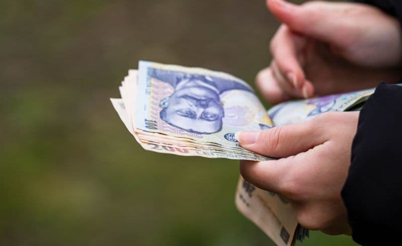 AJPIS Botoșani: Când primesc botoșănenii banii pentru alocații, indemnizații și alte drepturi sociale aferente lunii mai