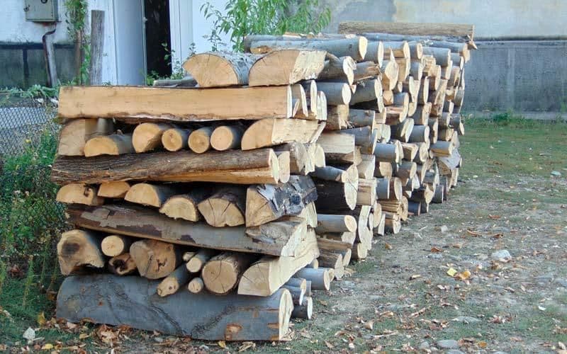 Polițiștii din Bucecea au recuperat 4 metri cubi de material lemnos sustras din cadrul Cantonului Silvic „Găvan”