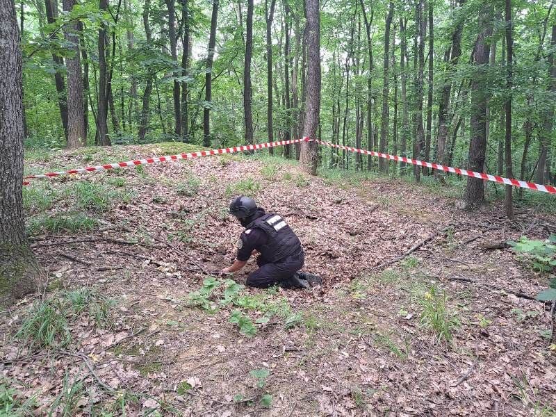 Element de muniție găsit într-o pădure din județ