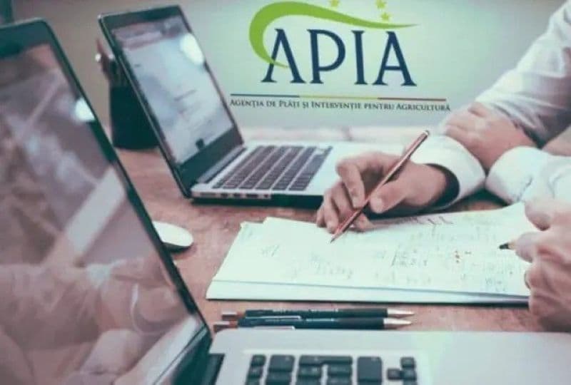 APIA: Finalizarea Campaniei de depunere a Cererilor de plată pentru anul 2025!