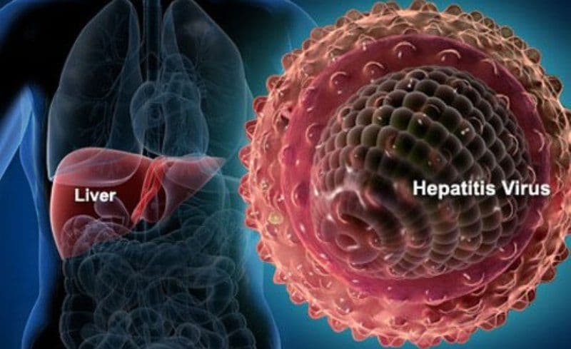 Virusuri hepatitice mai puțin cunoscute