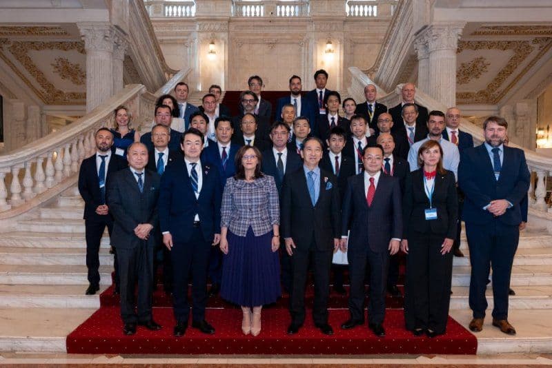 Secretarul de stat Cristina Breșug invită companiile japoneze să investească în județul Botoșani - FOTO