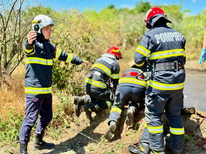 Un bărbat a murit într-o fosă, după ce a încercat să salveze un vițel 