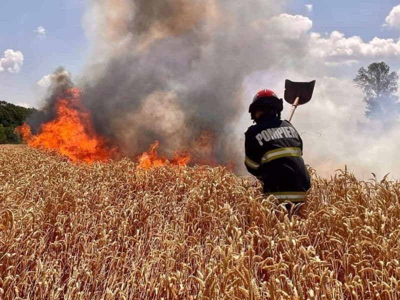 Măsuri de prevenire a incendiilor în timpul campaniei de recoltare a cerealelor păioase