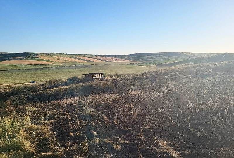 Pompierii din Botoșani în alertă! Două incendii de vegetație uscată lichidate în ultimele ore