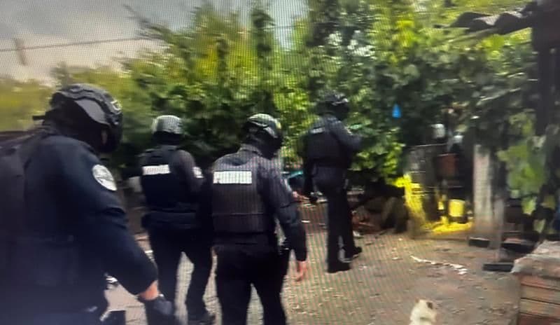 Dosar penal și sancțiune pentru neluarea măsurilor de prevenire a atacului canin 